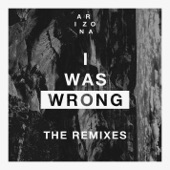 I Was Wrong (eSquire & Va Mossa Remix) artwork