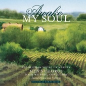 Awake My Soul: Sacred Hymns & Anthems artwork