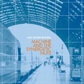 Machine and the Synergetic Nuts - M-B