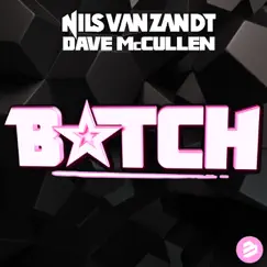 Bitch (Extended Mix) - Single by Nils van Zandt & Dave McCullen album reviews, ratings, credits