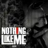Nothing Like Me - Single album lyrics, reviews, download