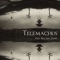 Grey Skies (feat. Jareth) - Telemachus lyrics