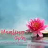 Healing Spa: Inspirational Music with Nature Sounds for Meditation & Relaxation album lyrics, reviews, download