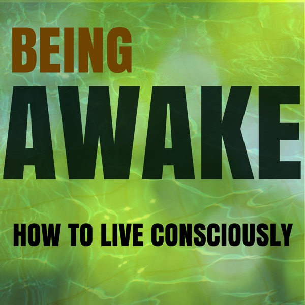 Being Awake Podcast cover