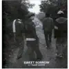 Sweet Sorrow album lyrics, reviews, download