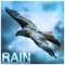 Sleep Rain - Nature Sounds, Rain Sounds & Nature Sounds Nature Music lyrics