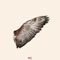 Broken Wings (feat. Sirena Grace) - GH Pancho lyrics