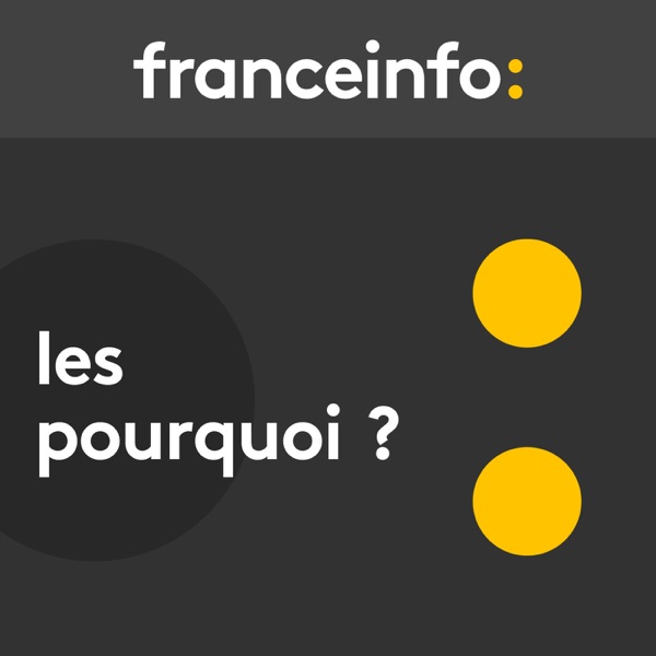 Les pourquoi cover