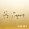 Siervas - Hoy Despierto