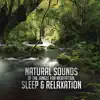 Natural Sounds of the Jungle for Meditation, Sleep & Relaxation album lyrics, reviews, download