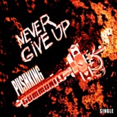 Never Give Up artwork