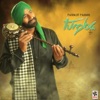 Parmjit Pammi - Rabb