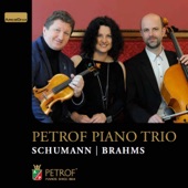 Piano Trio No. 1 in D Minor, Op. 63: IV. Mit Feuer artwork