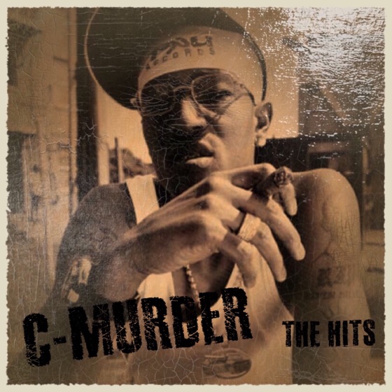 Cover artwork for Too Much Noise (feat. DIG & Master P)