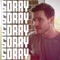 Sorry - Andy Scalise lyrics