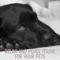 Calming Music for Pets (Deep Relax) - Pet Care Club lyrics