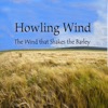 The Wind That Shakes the Barley