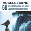 Vogelgesang: 50 Heilende Geräusche der Natur & Wasserfall für Meditation, Yoga mit Anti-Stress-Musik, Gesundheitsfördernde Entspannungsmusik