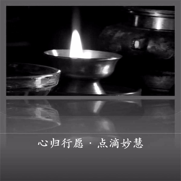 心归行愿 · 点滴妙慧 cover