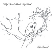 Clap Your Hands Say Yeah - Better Off