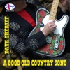 Dave Sheriff - Don't Come Running Back to Me