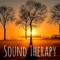 Calming Music Academy - Soothing Motion lyrics