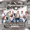Wir sind die Alpenraudis - Das Album, 2016