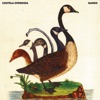 Costela Ofendida - EP