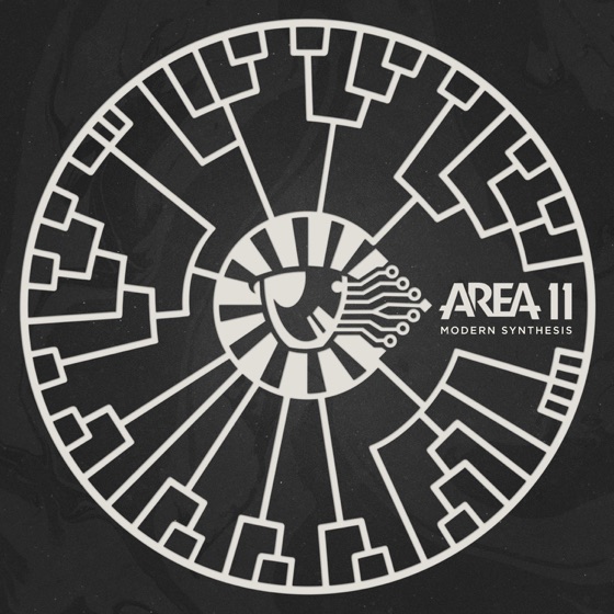 Cover artwork for After the Flags