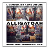 Livemusik ist keine Lösung - Himmelfahrtskommando Tour artwork