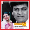 Gadi Bidi Krishna (Original Motion Picture Soundtrack), 2014