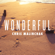 Wonderful - Chris Malinchak
