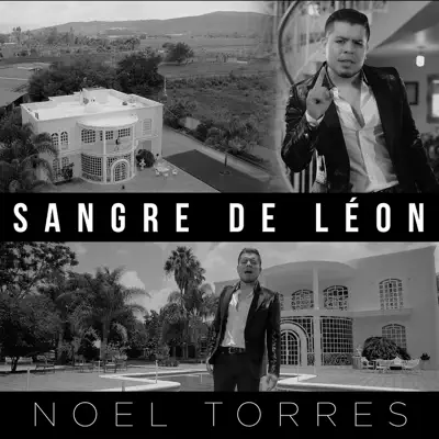 Sangre de Léon - Single - Noel Torres