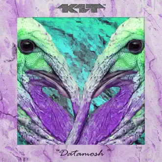 Datamosh - Single by K1T album reviews, ratings, credits