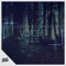 Voices (feat. NK) - Ollie Crowe & Rich James lyrics