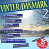 Vinter i Danmark, Vol. 2