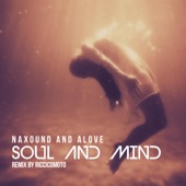 Soul and Mind (Riccicomoto Remix) artwork