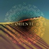 Orienté (New Oriental Trip) artwork