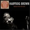 Better Days (feat. Kid Andersen) - Harpdog Brown lyrics