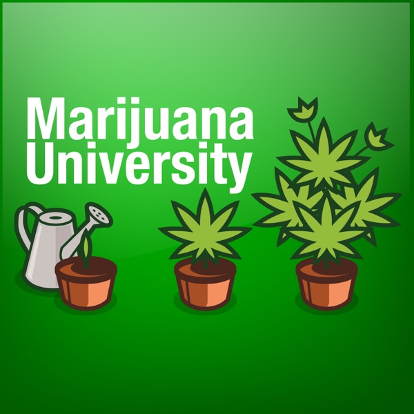 Marijuana University cover