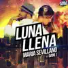 Luna Llena (feat. Dani J) - Single album lyrics, reviews, download