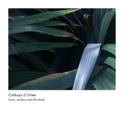 Scene, Surfaces And Threshold by Cathaya & Gron album reviews, ratings, credits