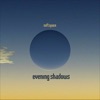 Evening Shadows, 2011