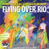 Flying Over Rio artwork