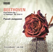 Beethoven: Piano Sonatas, Opp. 7, 13, 109, 110 & 111 artwork