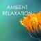 Serenity Spa Music Relaxation - Nature Caldwell lyrics