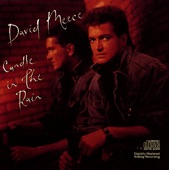David Meece - Hold On (Album)