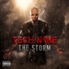 The Storm (Deluxe Edition) artwork
