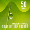 50 Tracks: Ambient Music, Calm Nature Sounds: Therapy Session - Serenity Instrumental New Age with Falling Rain, Relaxing Ocean Waves, Birds & Forest