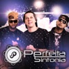Grupo Perfeita Sintonia - EP